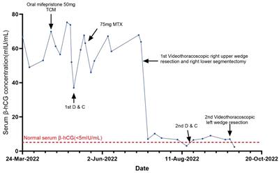 The fertility-sparing treatment and outcome of epithelioid trophoblastic tumor isolated to lung: a case report and review literature